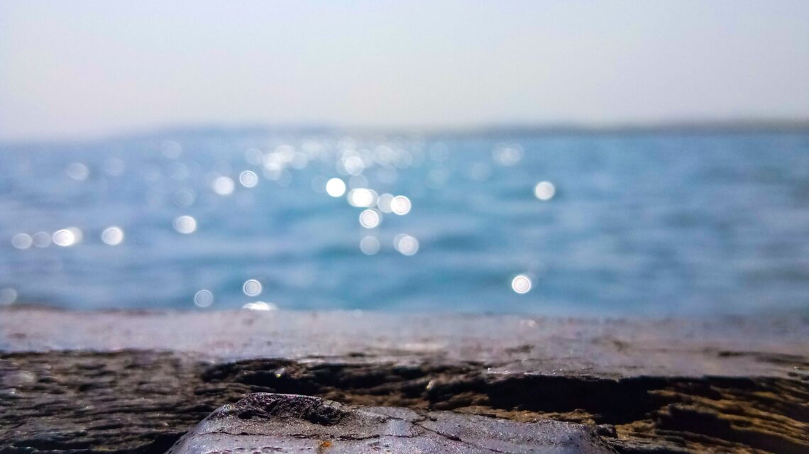 a close up of a piece of wood with water in the background