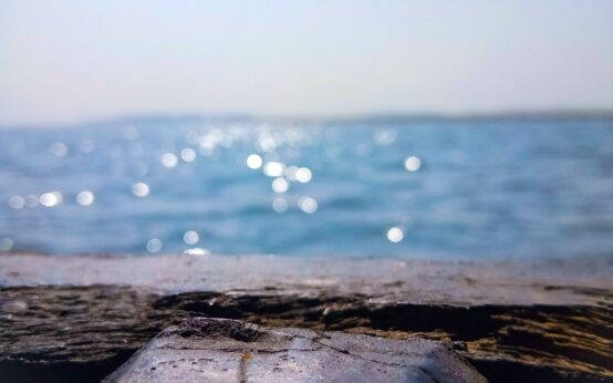 a close up of a piece of wood with water in the background