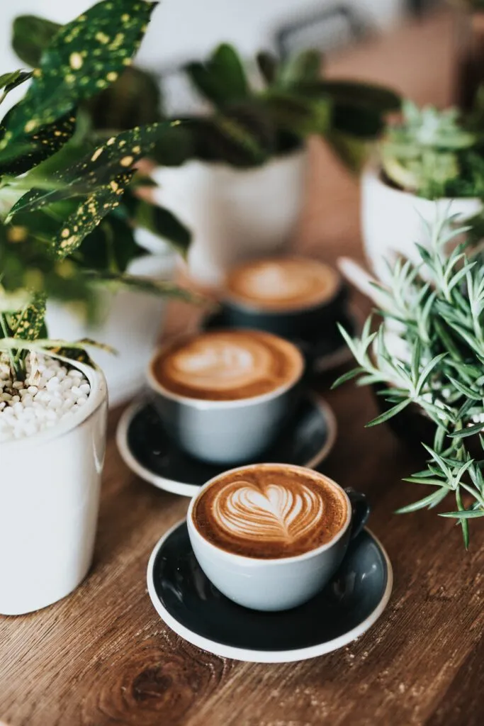 Coffee shops - Top 10 Best Coffee Shops Around the World