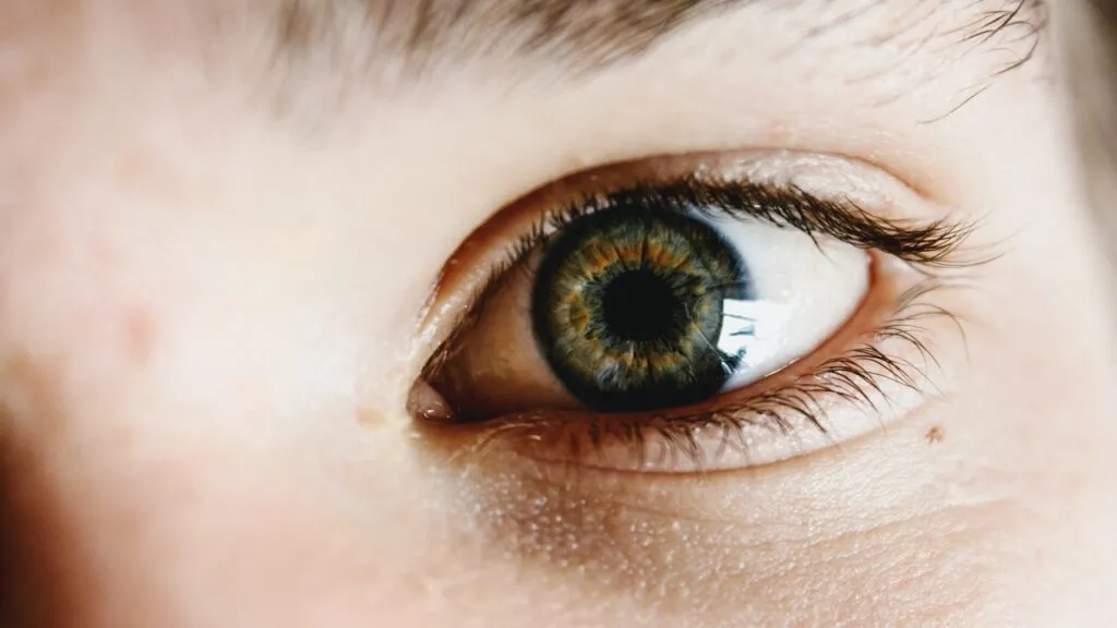 Eye health - Improving Eye Vision: The Best Foods and Exercises