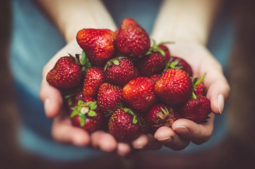 Farm-to-fork journey - From Farm to Fork: A Gastronomic Odyssey