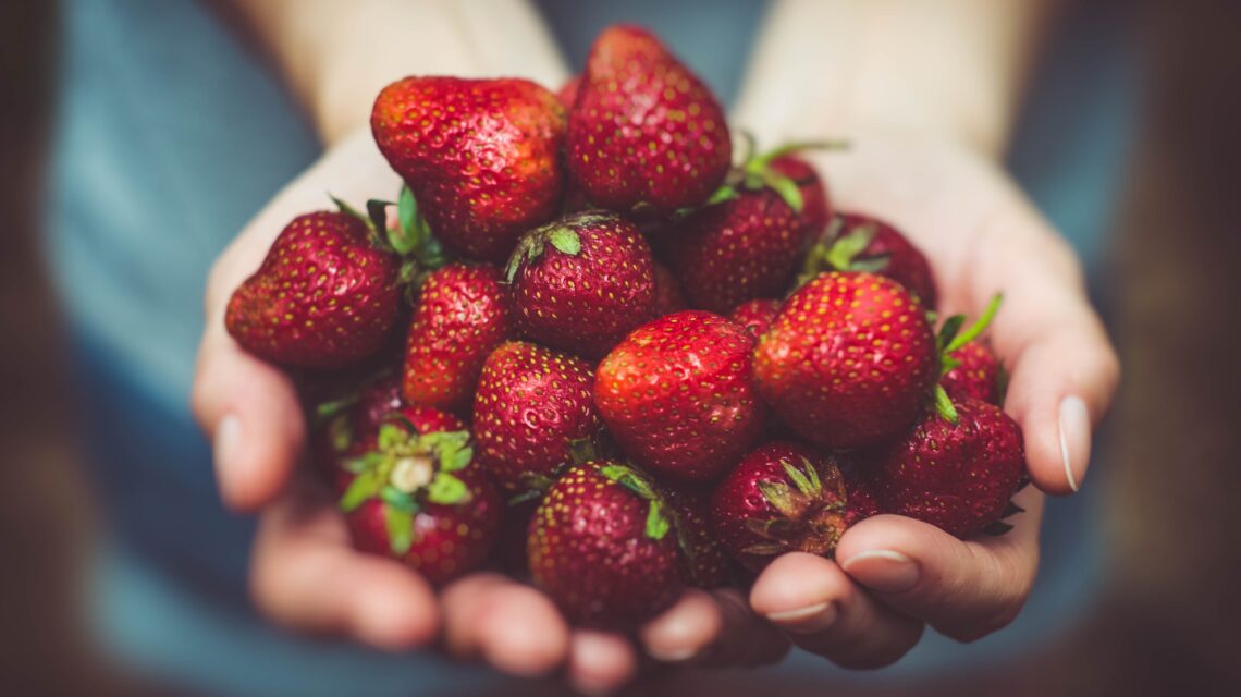 shallow focus photography of strawberries on person's palm