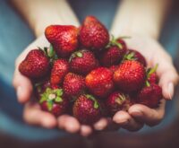 shallow focus photography of strawberries on person's palm