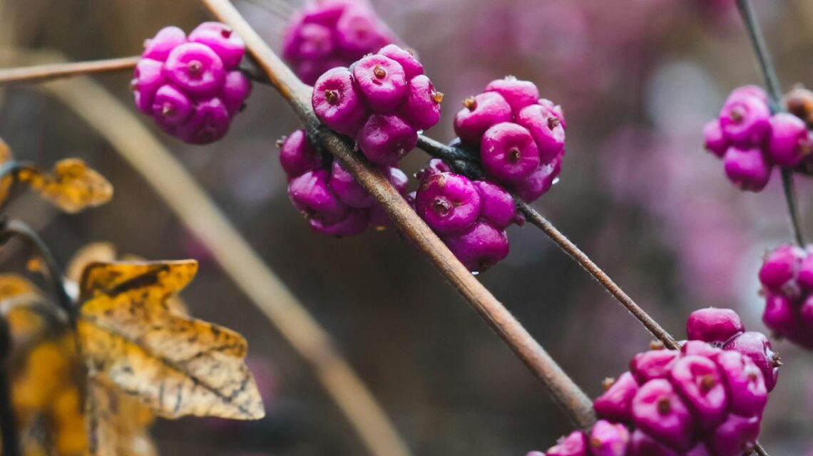 Abstract image representing growth achieved through effective team delegation.