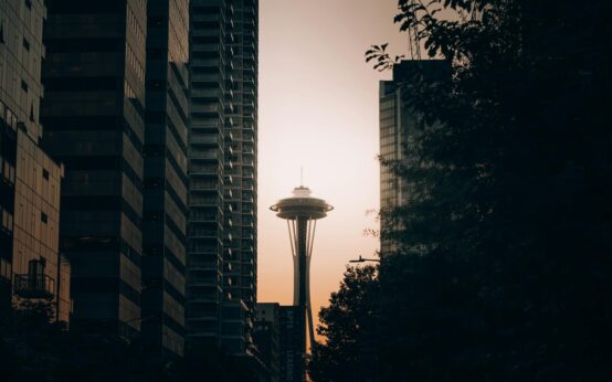 Abstract image representing the complexities of choosing a business structure, including LLCs, S Corps, and C Corps.