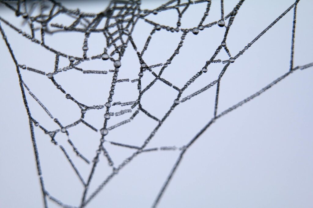 Network connections illustrated in an abstract design, symbolizing the interconnectedness of APIs and their role in understanding APIs.