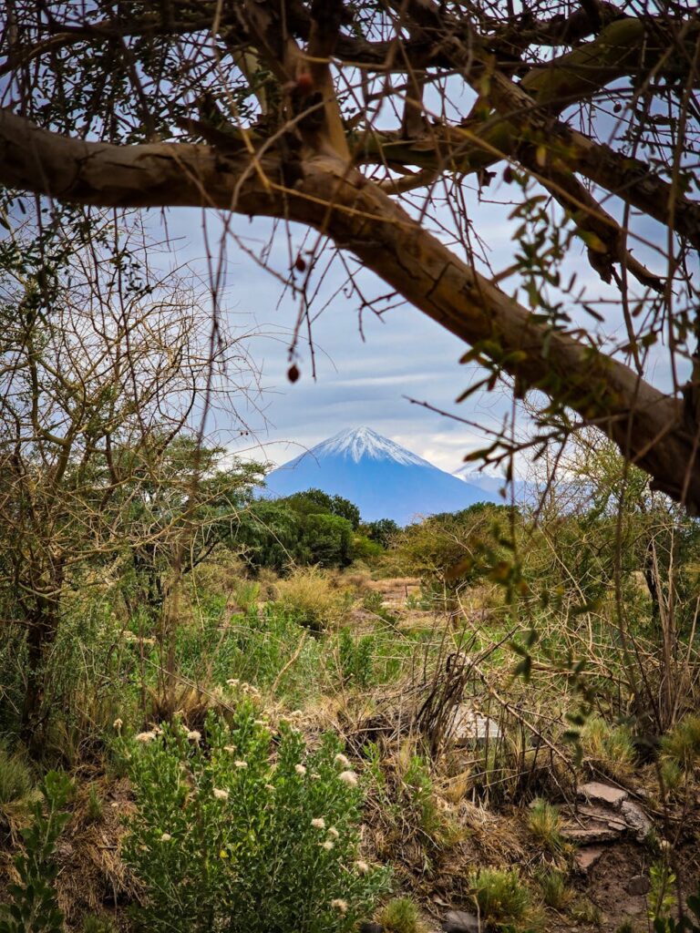A compass pointing towards a mountain peak, representing how customer feedback asset can guide your business strategy towards success.