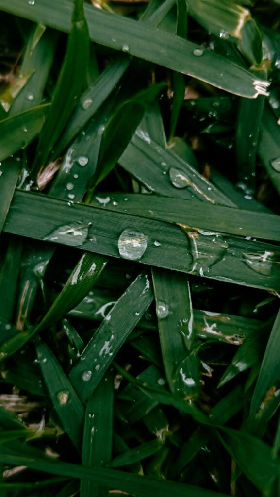 Vibrant watercolor landscape showcasing the beauty of travel sketching and painting.