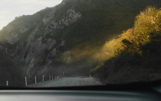 Sunbeams filtering through a misty forest, creating a serene atmosphere for a quiet Airbnb retreat.