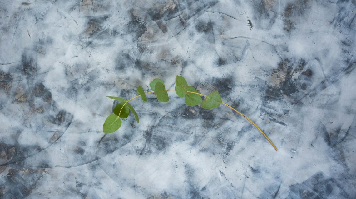 Abstract image representing the growth of a start seo agency