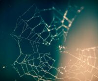 An abstract digital art piece showing interconnected nodes, representing a blockchain network.