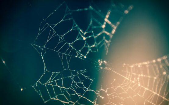 An abstract digital art piece showing interconnected nodes, representing a blockchain network.