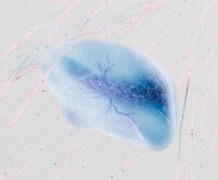 An abstract digital illustration representing the flow of data in an e-commerce platform.