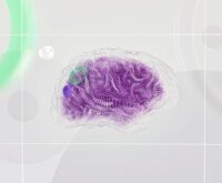A conceptual image of an artificial neural network with interconnected nodes and glowing lines.