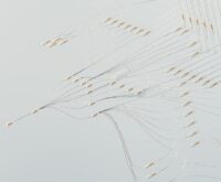 A conceptual image of an interconnected blockchain network with glowing nodes and data streams.