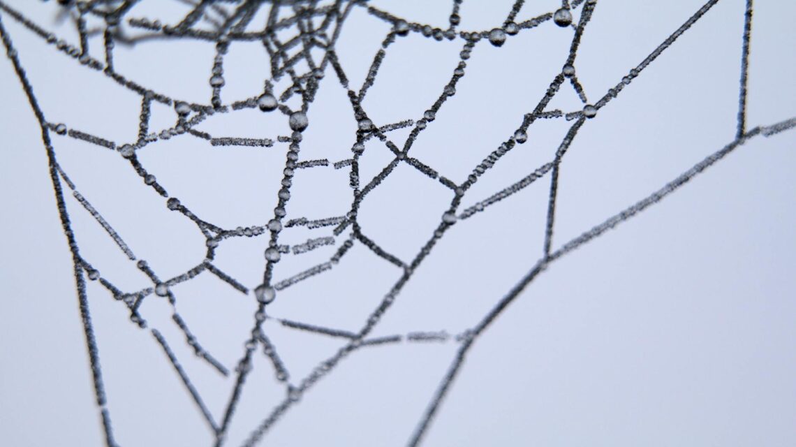 An abstract digital visualization of interconnected nodes and lines, representing a neural network.