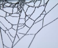 An abstract digital visualization of interconnected nodes and lines, representing a neural network.