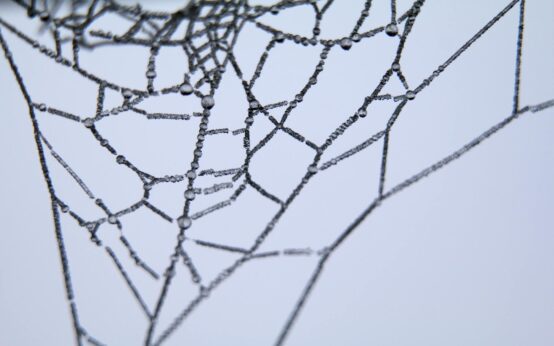 An abstract digital visualization of interconnected nodes and lines, representing a neural network.