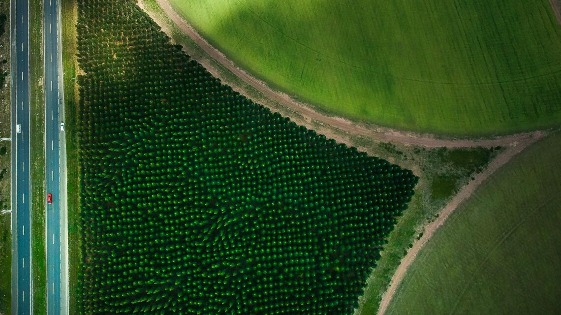 An agricultural drone hovers over a lush green cornfield, surveying the crops.