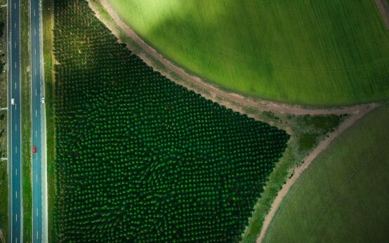 An agricultural drone hovers over a lush green cornfield, surveying the crops.