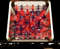 A vibrant, abstract visualization of a decentralized blockchain network with interconnected nodes.