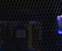 An abstract visualization of interconnected nodes representing a complex data network.