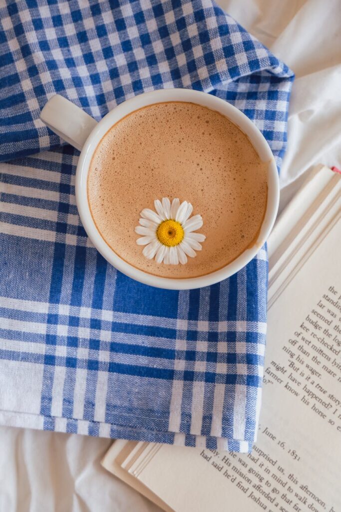 A pair of feet wearing soft, fuzzy socks on a plush blanket, with a white ceramic mug of chamomile tea nearby.