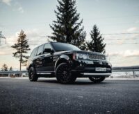 A winding asphalt road disappearing into a dense, sunlit forest during a golden sunset.