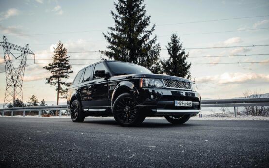 A winding asphalt road disappearing into a dense, sunlit forest during a golden sunset.