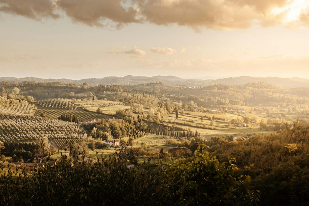 A classic Tuscan landscape featuring rolling green hills, a winding road, and tall cypress trees under a golden sunset.