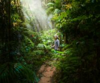 A person relaxing in a hammock strung between two palm trees in a dense, green jungle, deeply engrossed in a book.