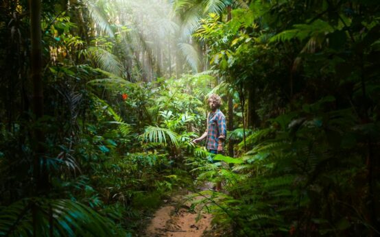 A person relaxing in a hammock strung between two palm trees in a dense, green jungle, deeply engrossed in a book.