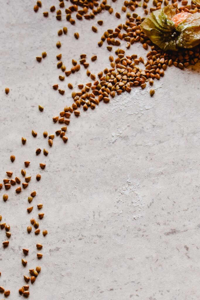 An overhead shot of various types of gluten-free pastas, grains, and flours arranged neatly on a dark surface.