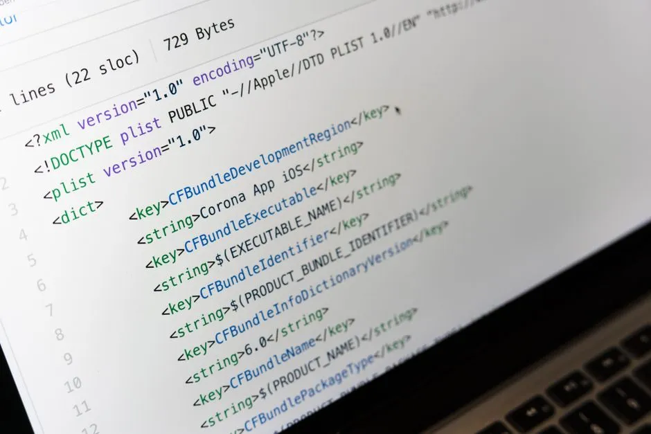 coding and computer science